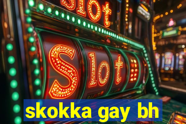 skokka gay bh